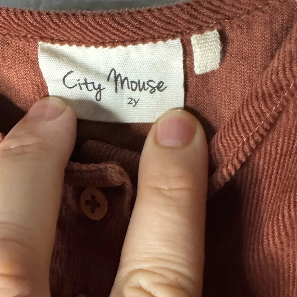 City Mouse Dress